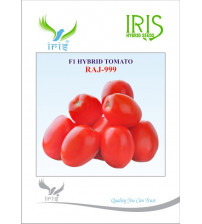 Tomato Iris F1 Raj-999 10 grams